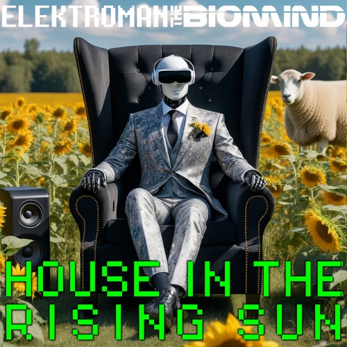 House In The Rising Sun